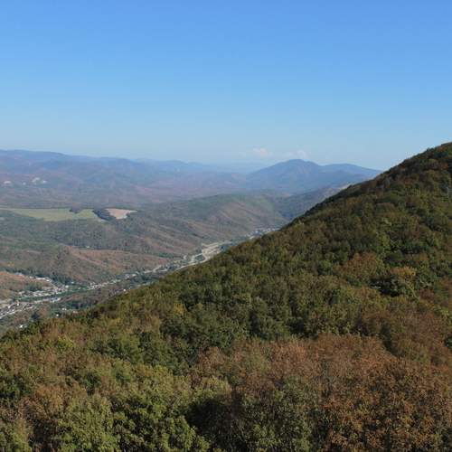 Photo #13556775