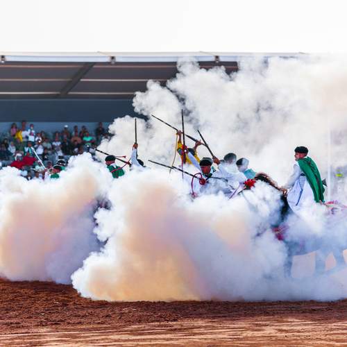 Sports et loisirs équestres.