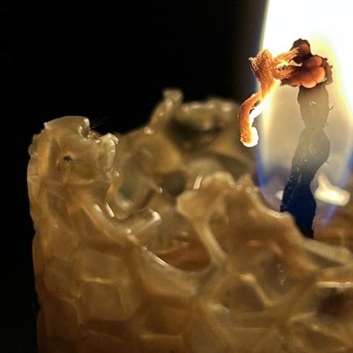 Photo #13556925
