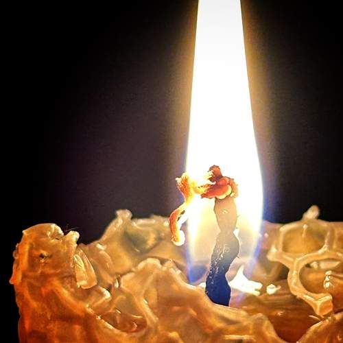 Photo #13556926