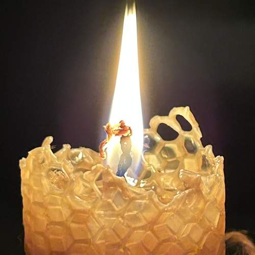 Photo #13556932