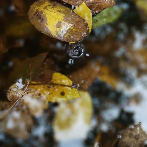 Photo #13556950