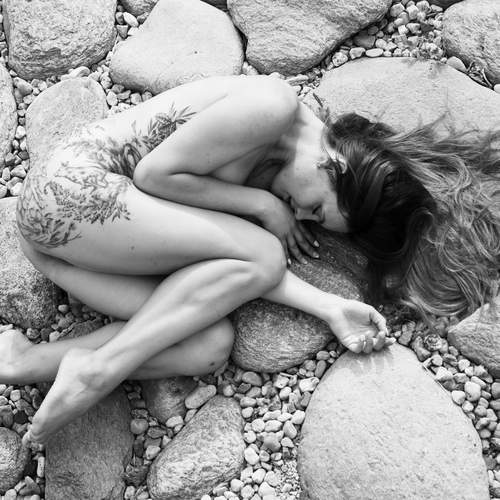 Photo #13556966