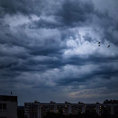 Photo #13556997
