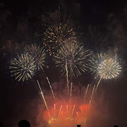 Photo #13557011