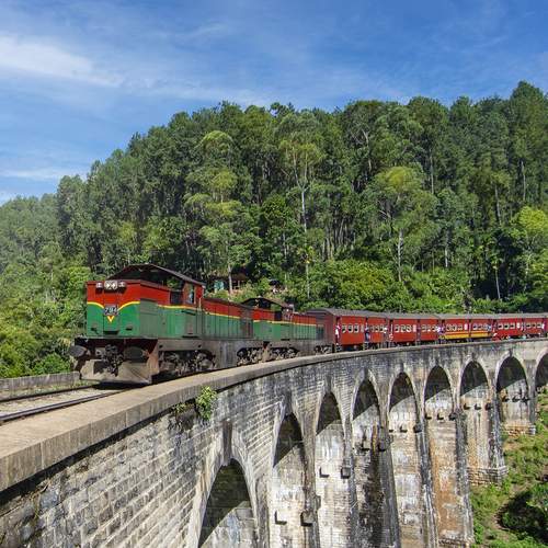 Photo #13557257