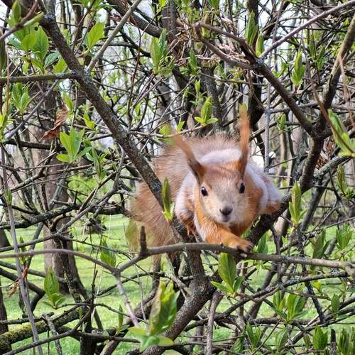 Photo #13557289