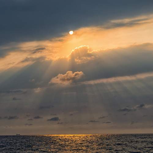 Photo #13557314