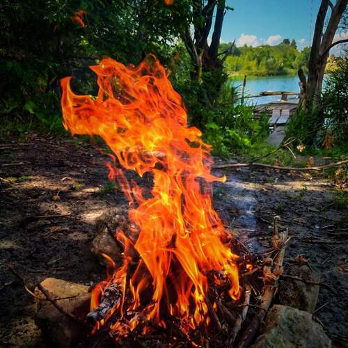 Photo #13557316