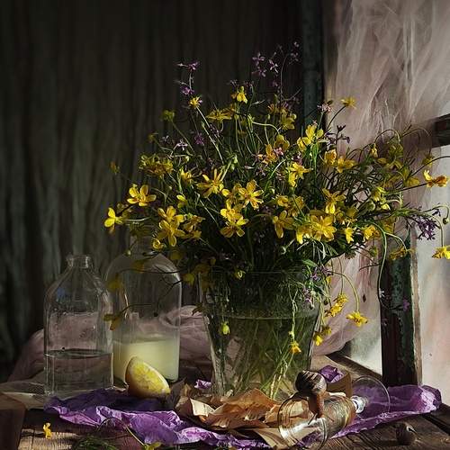 Photo #13557349