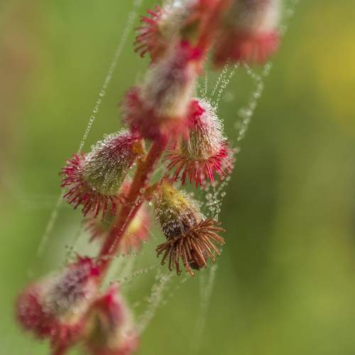Photo #13557381
