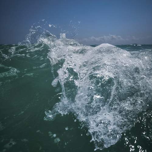 Photo #13557410