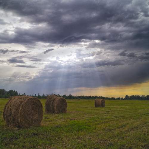 Photo #13557438