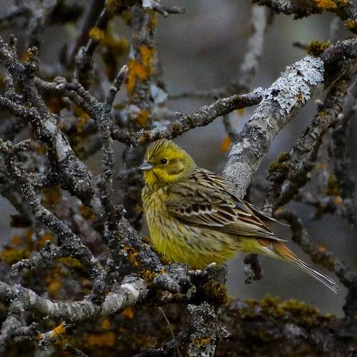 Photo #13557470