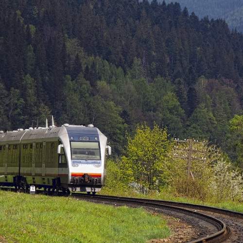 Photo #13557535