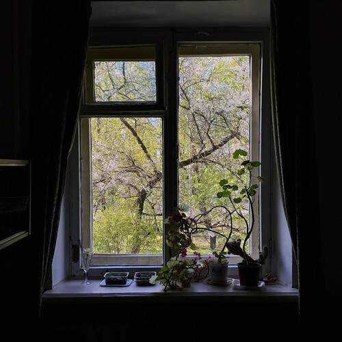 Photo #13557540