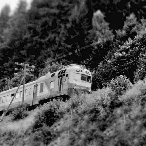 Photo #13557545