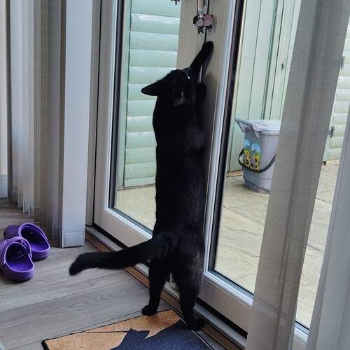 Photo #13557572