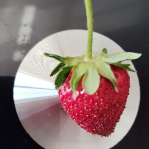Photo #13557575