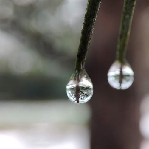 Photo #13557800