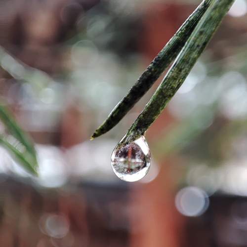 Photo #13557801