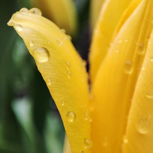Photo #13557804