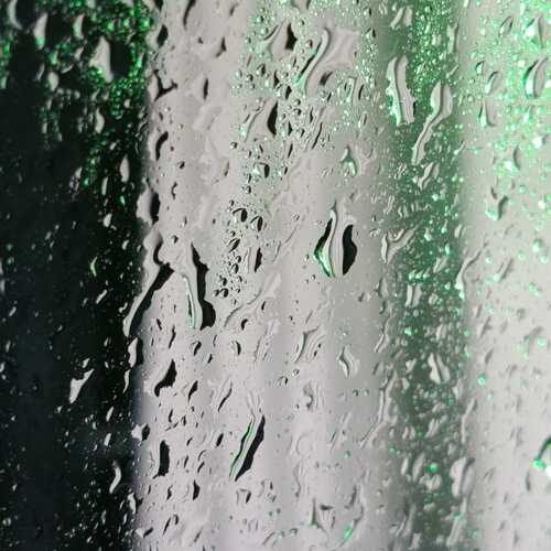 Photo #13557806