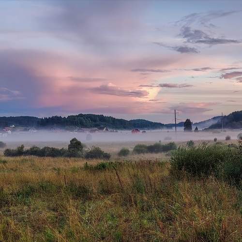 Photo #13557897