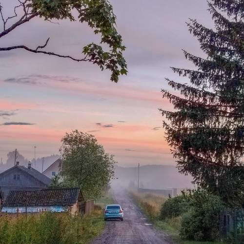 Photo #13557898