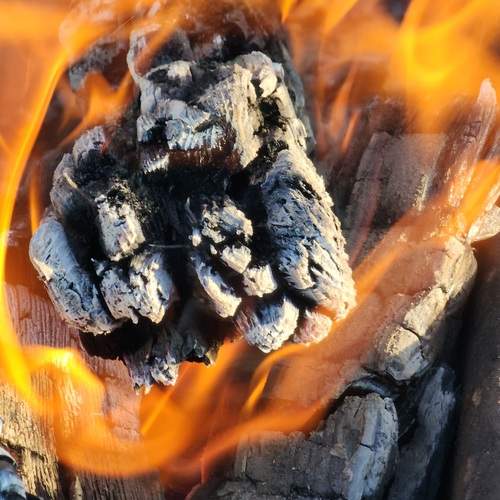 Photo #13557927