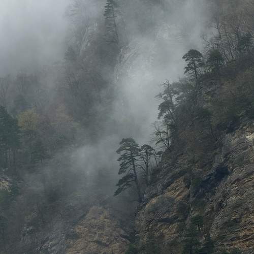 Photo #13557956