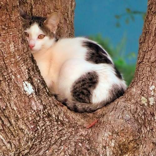Photo #13557986