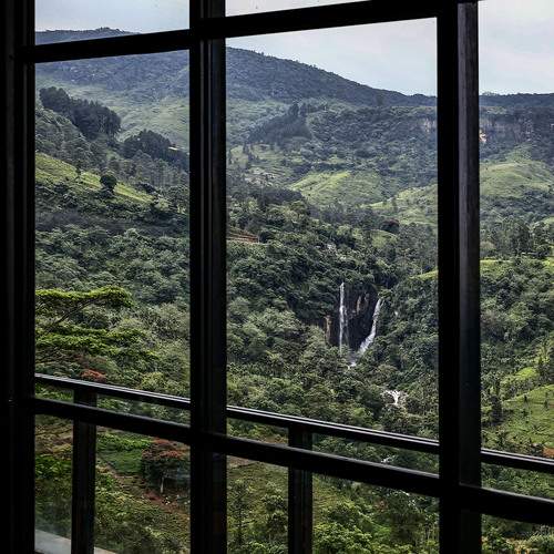 Photo #13558006