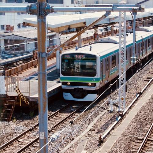 Photo #13558071