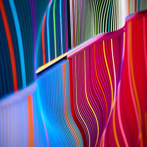 Photo #13558130