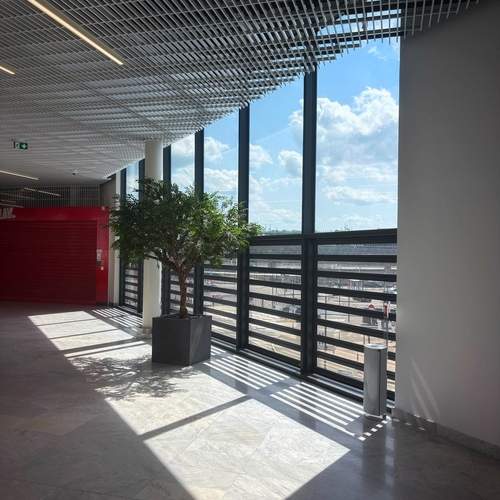 Photo #13558132