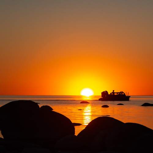 Photo #13558186