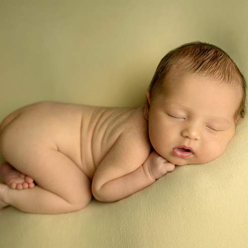 Photo #13558279