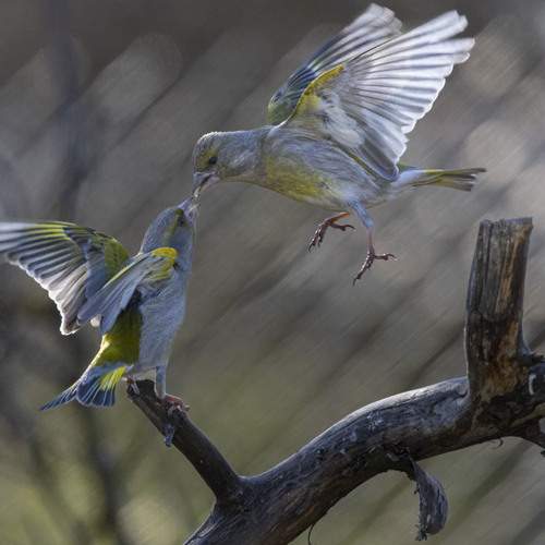 Photo #13558305