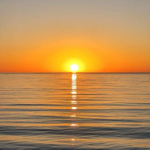 Photo #13558316