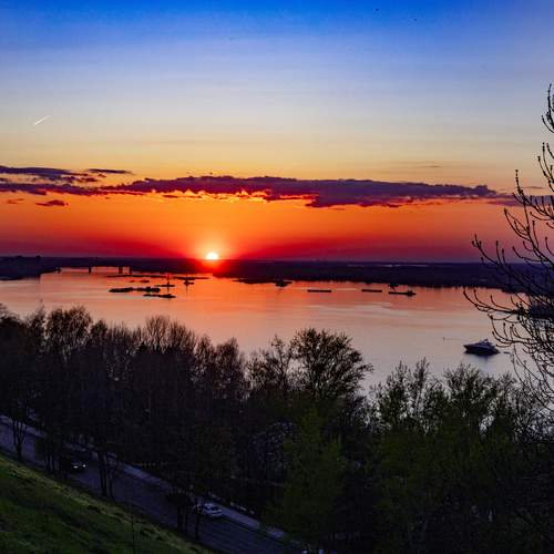 Photo #13558321