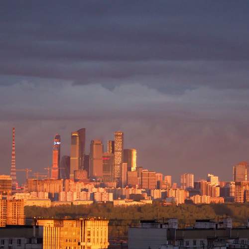 Photo #13558335
