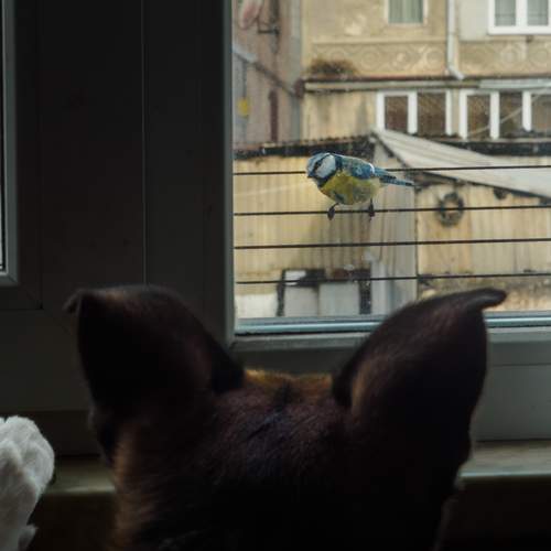 Photo #13558391