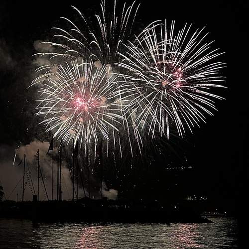 Photo #13558558