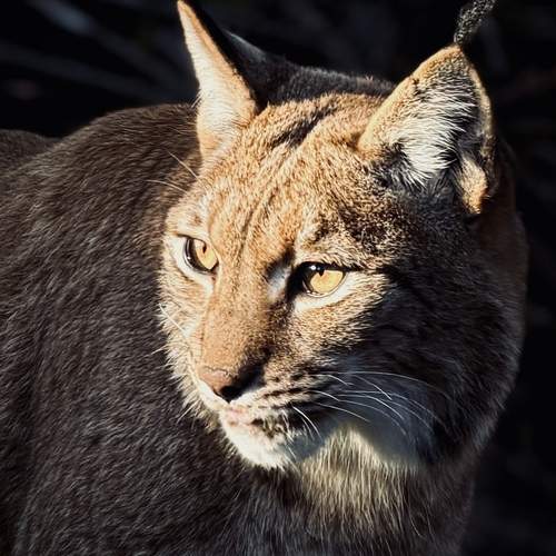 Photo #13558609
