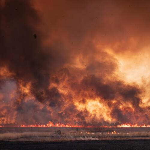 Photo #13558665