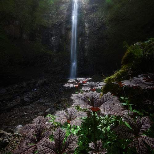 Photo #13558715