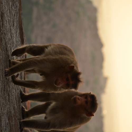 Photo #13558718