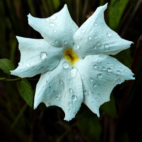Photo #13558792
