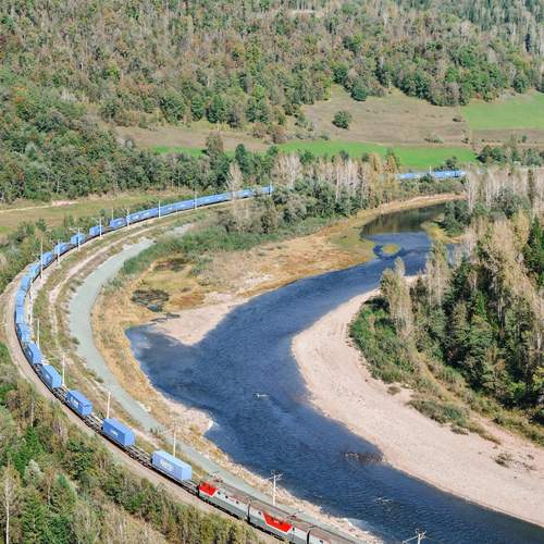 Photo #13558835